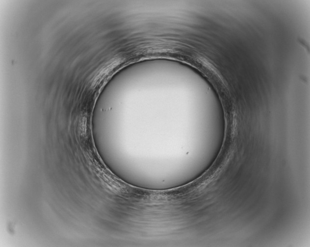 X0000101660777200807311434