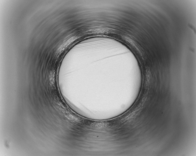 X0000101660778200807311434