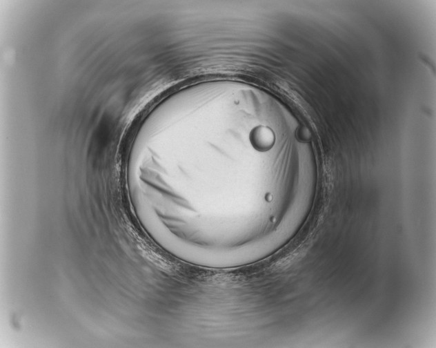 X0000101660779200807311434