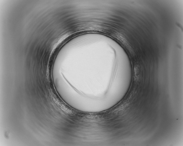 X0000101660780200807311434