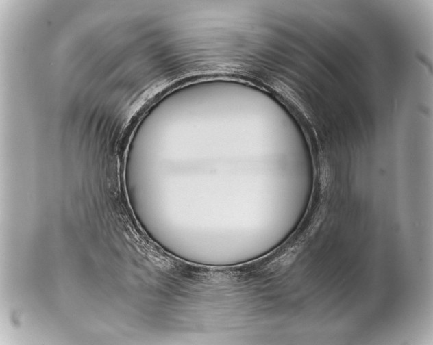 X0000101660781200807311434