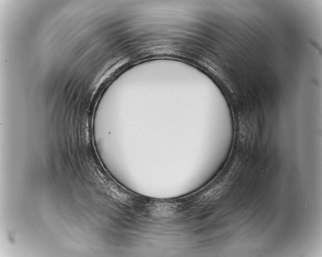 X0000101660782200807311434