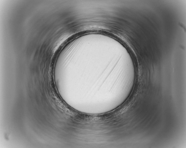 X0000101660783200807311434