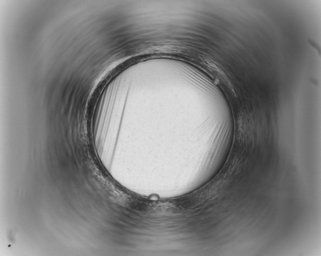 X0000101660784200807311434