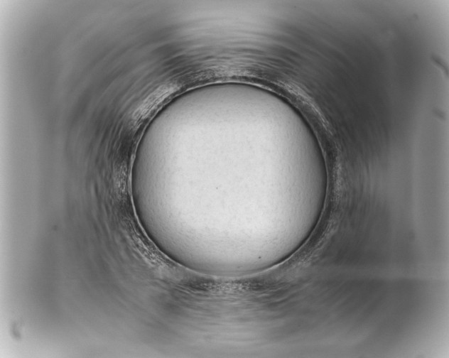 X0000101660785200807311434