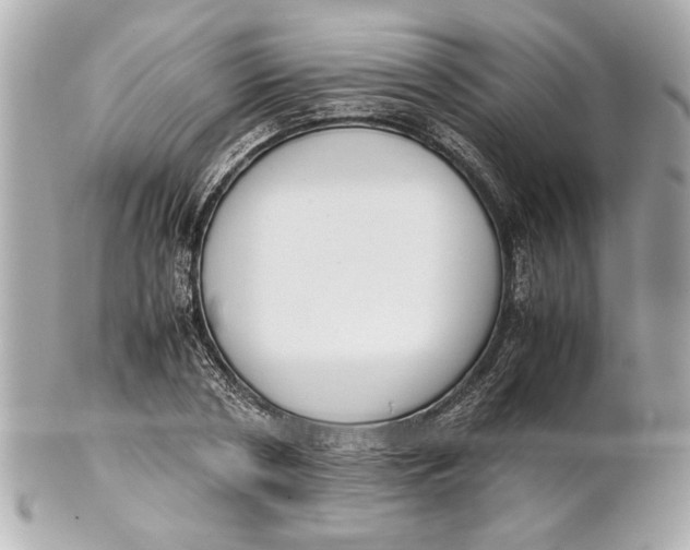 X0000101660786200807311434