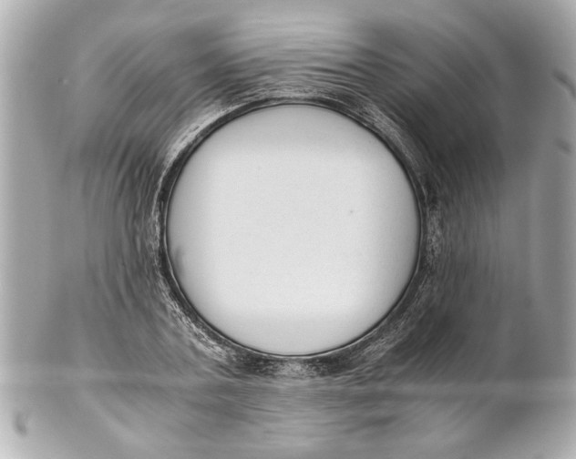 X0000101660787200807311434