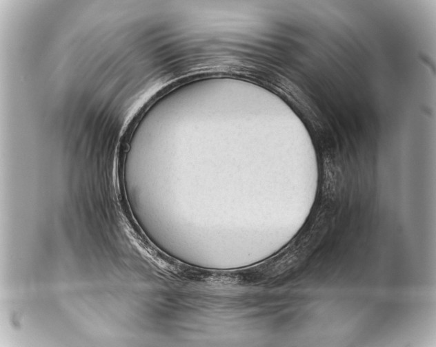 X0000101660788200807311434