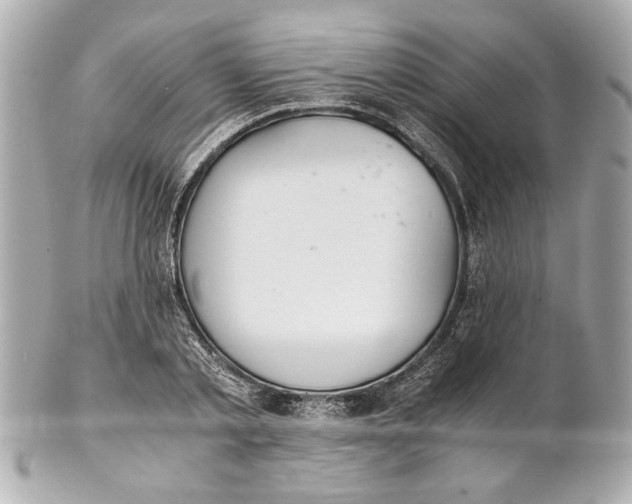 X0000101660789200807311434