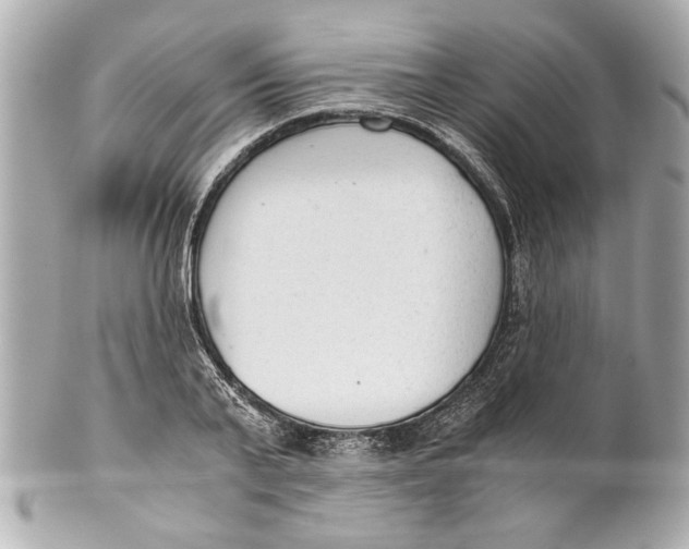 X0000101660791200807311434