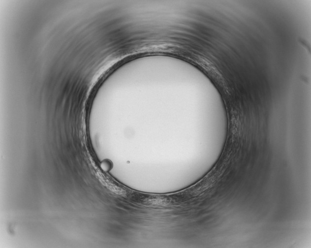 X0000101660792200807311434