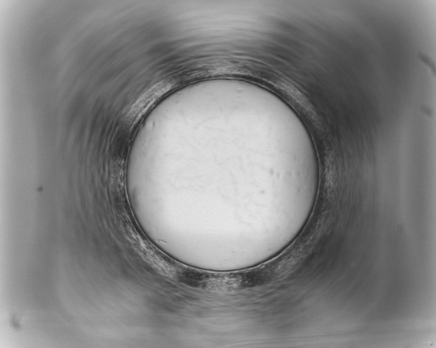 X0000101660793200807311434