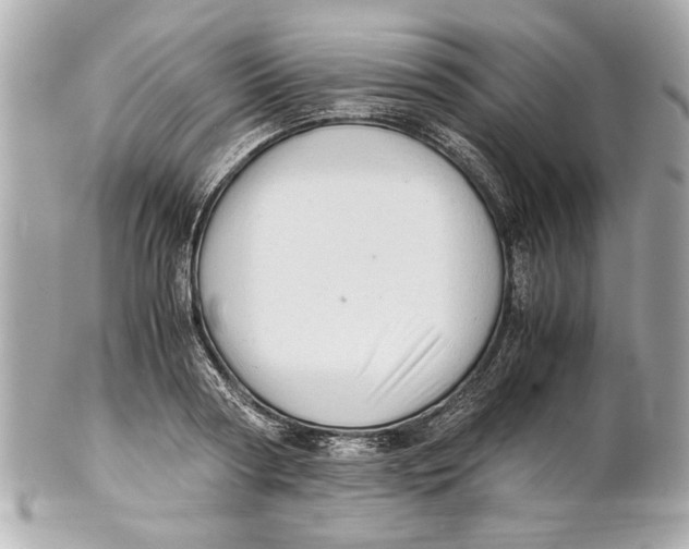 X0000101660794200807311434