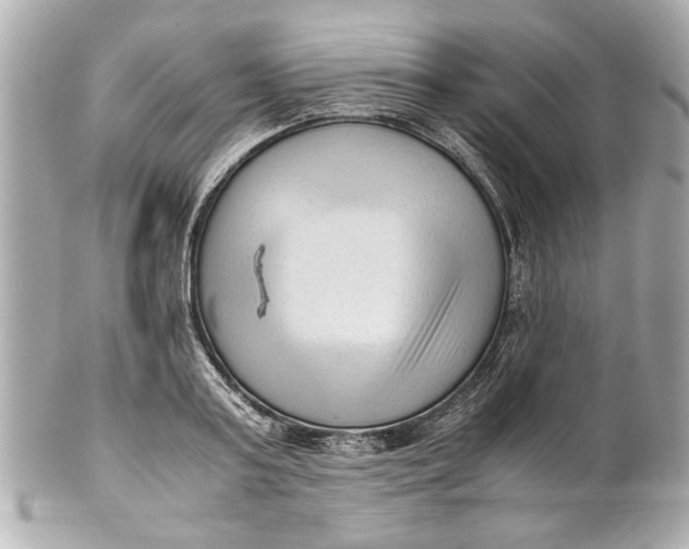 X0000101660795200807311434