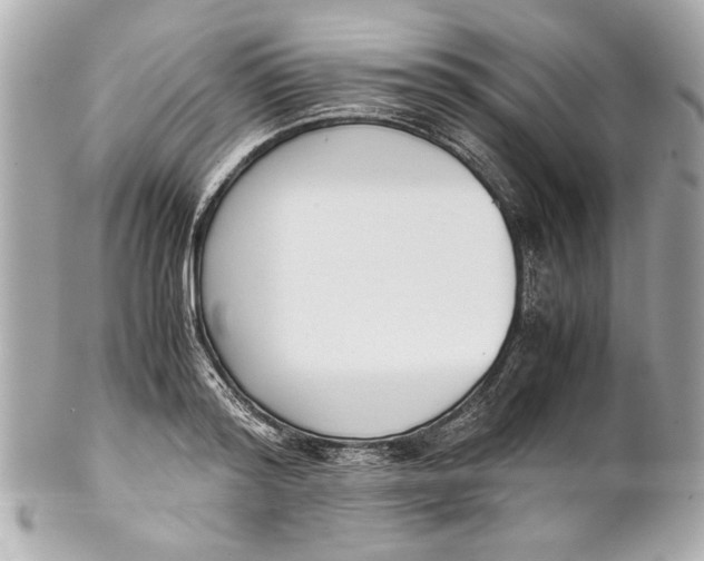 X0000101660796200807311434