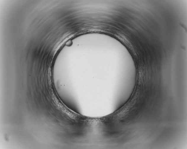 X0000101660798200807311434