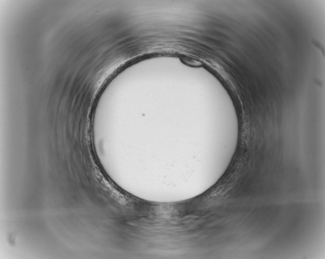 X0000101660799200807311434