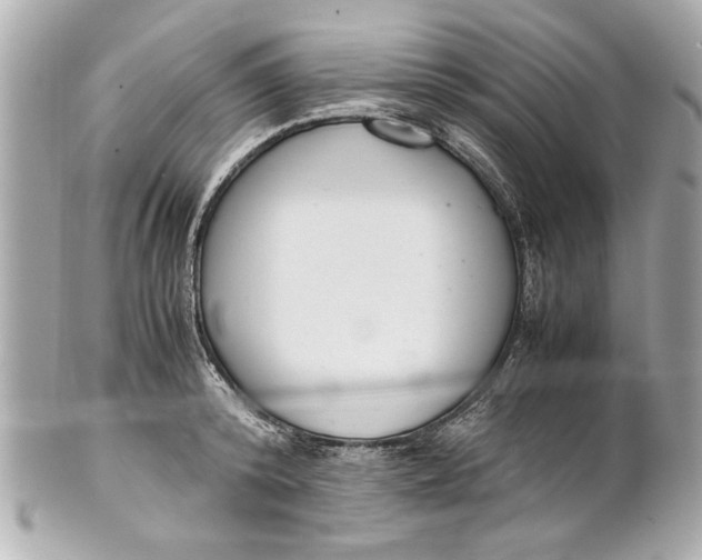 X0000101660800200807311434