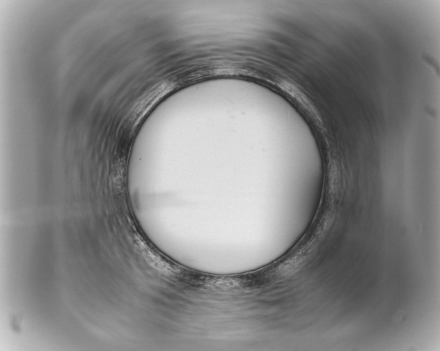 X0000101660801200807311434