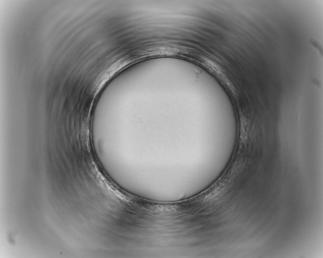 X0000101660802200807311434