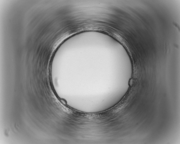 X0000101660803200807311434