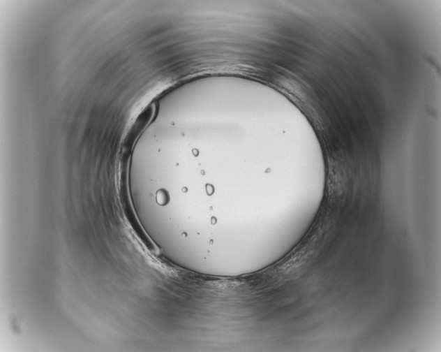 X0000101660804200807311434