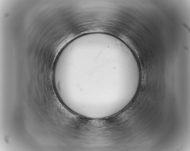 X0000101660805200807311434