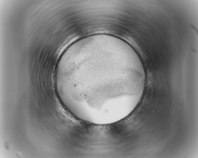 X0000101660806200807311434