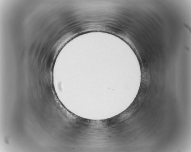 X0000101660807200807311434