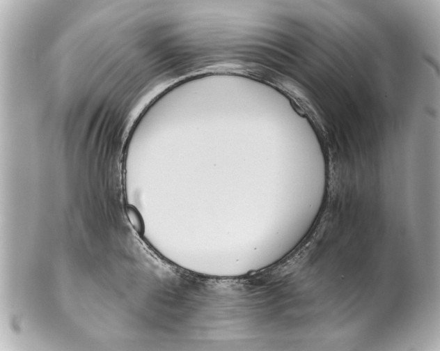 X0000101660808200807311434