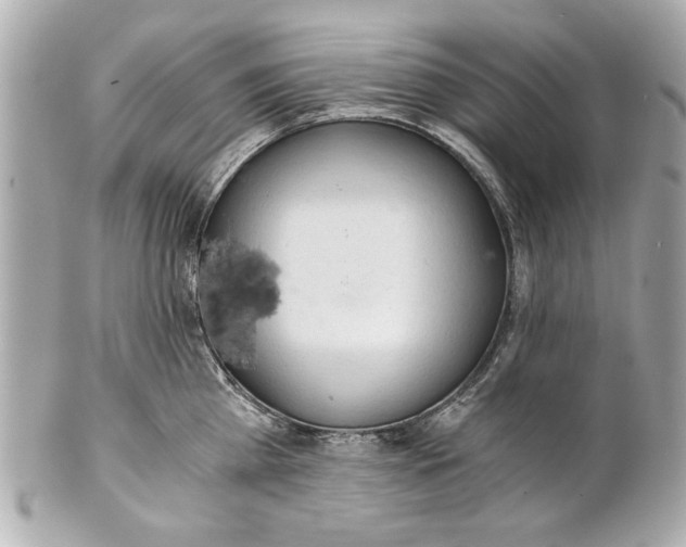 X0000101660809200807311434