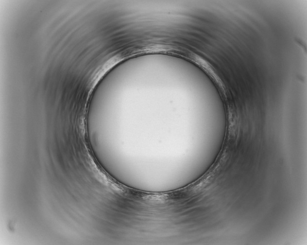 X0000101660810200807311434