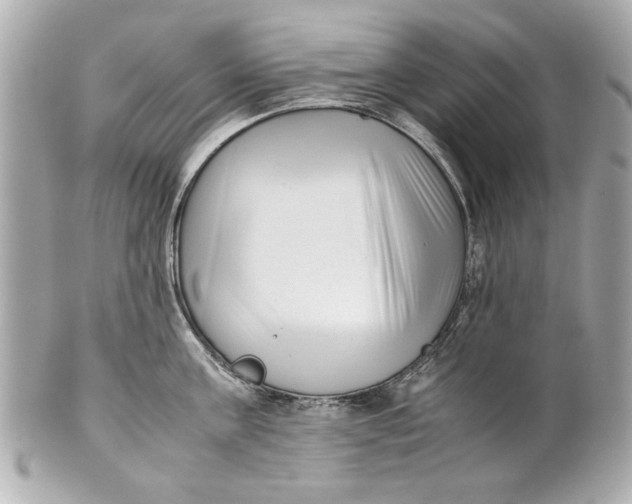 X0000101660811200807311434