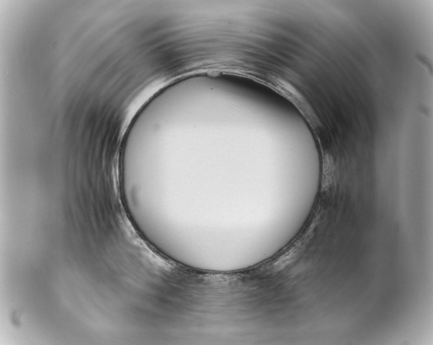 X0000101660812200807311434