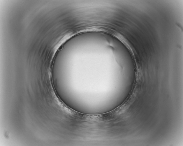 X0000101660813200807311434