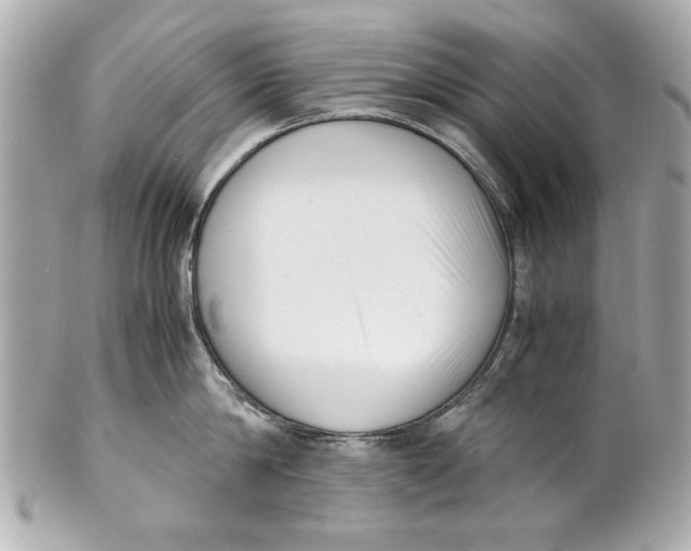 X0000101660814200807311434