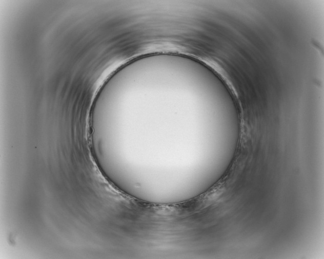 X0000101660815200807311433