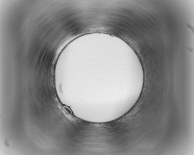 X0000101660816200807311433