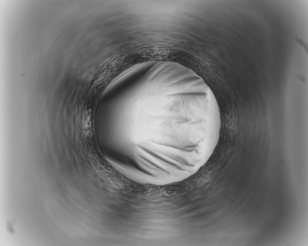 X0000101660818200807311433