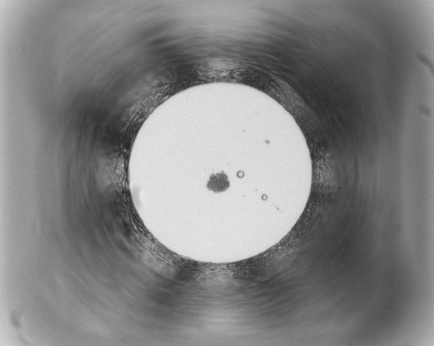 X0000101660820200807311433