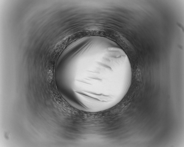 X0000101660821200807311433