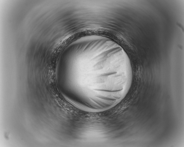 X0000101660822200807311433