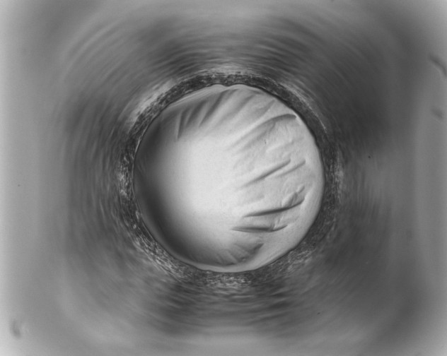 X0000101660823200807311433