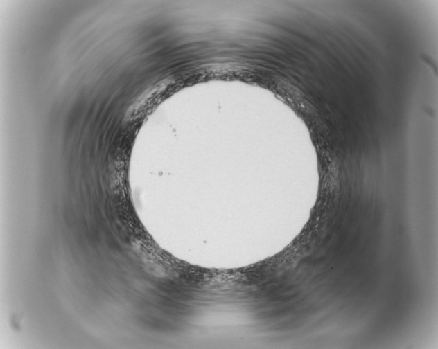 X0000101660824200807311433