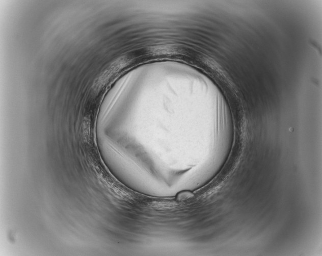 X0000101660825200807311433