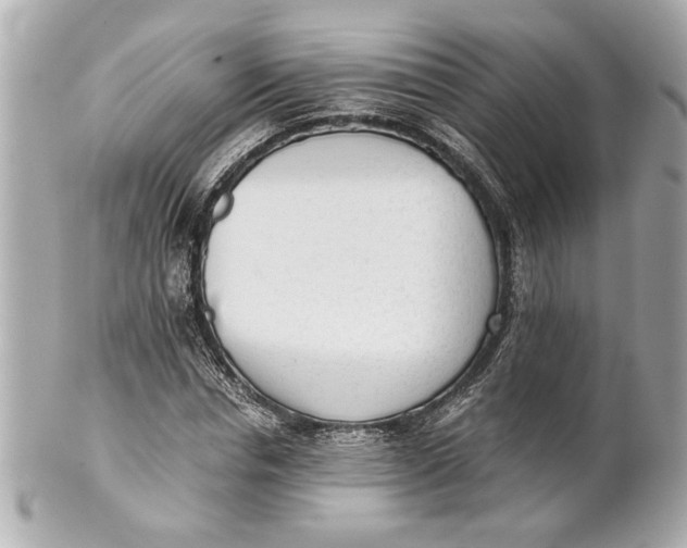 X0000101660826200807311433