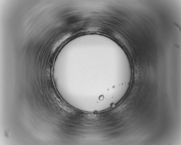 X0000101660827200807311433