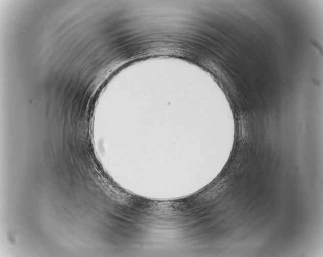 X0000101660828200807311433