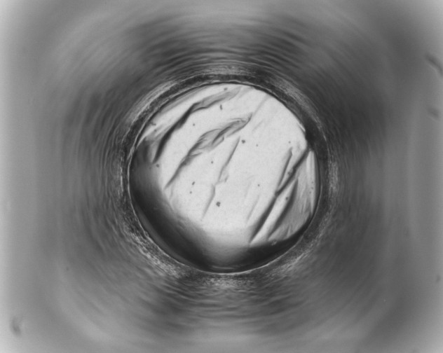 X0000101660829200807311433