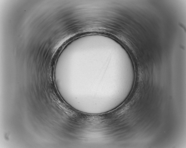 X0000101660830200807311433